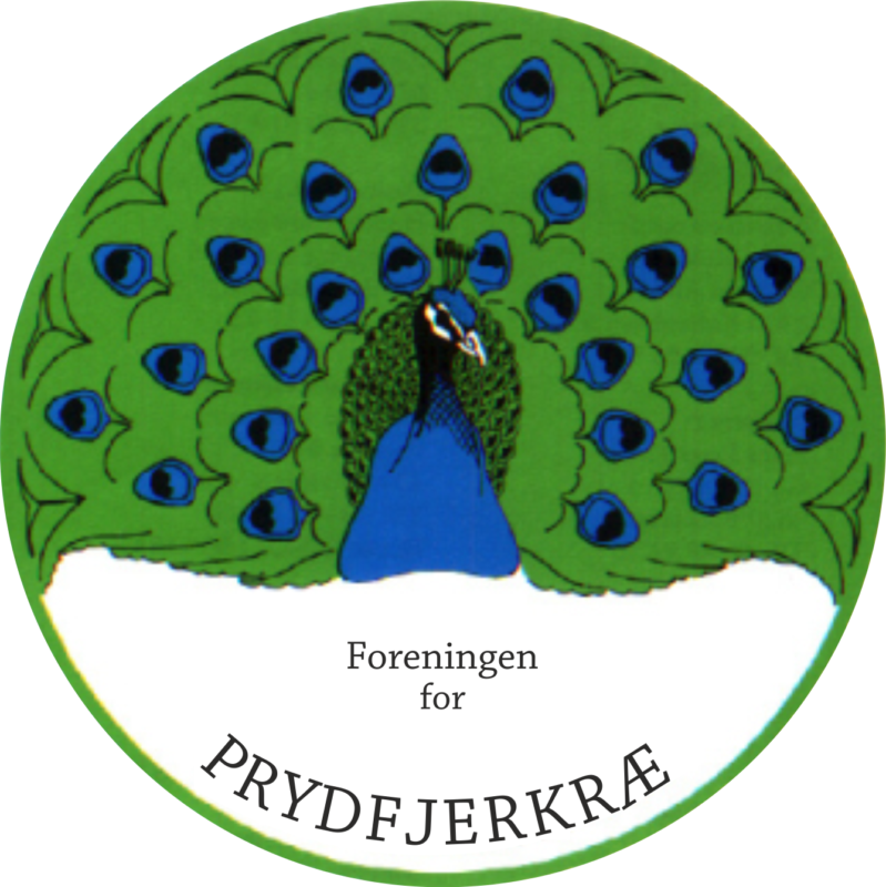 Prydfjerkræ